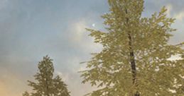 Nature FX