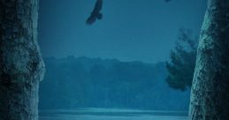 Ozark (2017) - Season 4 Ozark (2017) - Season 4: A Thrilling Journey into the Darkest Corners of Money Laundering Ozark, a