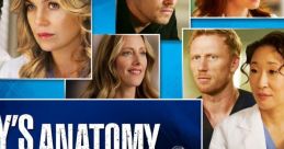 Grey's Anatomy (2005) - Season 8 Grey's Anatomy is a popular medical drama television series that premiered in 2005 and has