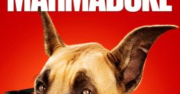 Marmaduke