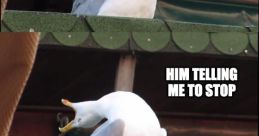 Me making Noises
