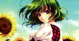 Touhou Pocket War Evolution Track 東方ポケット戦争EVOLUTION TRACK - Video Game