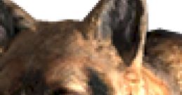 Close-up of a loyal dog companion, inspired by the canine character from Fallout 3, showcasing its keen expressions.