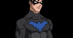 Nightwing from Young Justice, showcasing his iconic blue emblem and sleek black costume, ready for action.