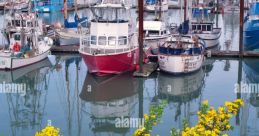 Harbor