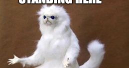 Creepy talking cat meme with funny caption, "I'm just standing here feelin' avocados," adds humor to pet content.