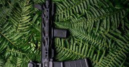 Gun