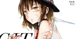 DIGITAL PHANTASM Touhou - Video Game