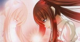 Phase-D: Akaki no Shou Phase D 朱姫の章 - Video Game
