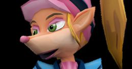 Pasadena O'possum (Crash Tag Team Racing)