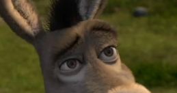 Donkey