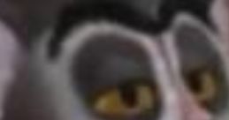 Maurice Madagascar