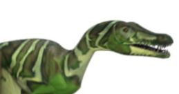 Velociraptor