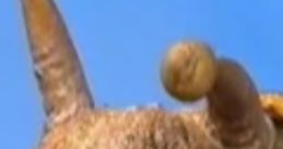 Alicia The Snail