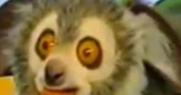 Mel The Lemur