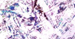 N ii G H T L ii N E - Video Game