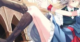 Sanctuary Touhou 例大祭11 - Video Game
