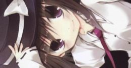 ルナティック・ワールド・スーパーノヴァ Touhou 例大祭8 - Video Game Video game from ルナティック・ワールド・スーパーノヴァ