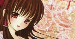 極彩色の幻想 Touhou 東方紅楼夢9 - Video Game