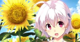 Himawari -Pebble in the Sky- ひまわり -Pebble in the Sky- 向日葵 -天空鹅卵石- - Video Game Video game from Himawari -Pebble