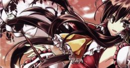 InsolitamNocte Touhou C82 - Video Game