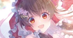 TH Schranz Complex 03 Touhou 東方名華祭14 - Video Game