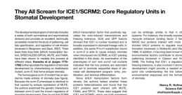 Jrav2(Scrm)