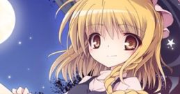 Arawashi Tsuki Kouji 現し月小路 Touhou Eiyashou ~ Imperishable Night. Touhou Kaeidzuka ~ Phantasmagoria of Flower View.