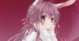 Kalanchoe tomentosa Touhou Youyoumu ~ Perfect Cherry Blossom. Touhou Koumakyou ~ the Embodiment of Scarlet Devil. Touhou