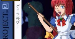 Re：Seihou Project ~ Kioh Gyoku Touhou - Video Game