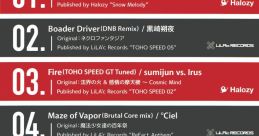 Sprit DJ Mix -RED- Touhou 東方名華祭11 - Video Game