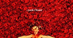 American Beauty (1999)