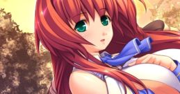 Oppai Baka -Oppai Igai wa Mitomenai!!- おっぱいバカ -おっぱい以外は認めない!!- - Video Game