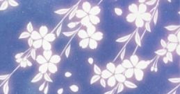 Reunion Bloom Touhou Koumakyou ~ the Embodiment of Scarlet Devil. Touhou Youyoumu ~ Perfect Cherry Blossom. Touhou Eiyashou ~