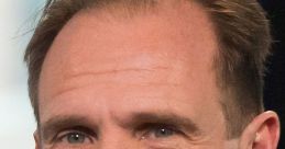 Ralph Fiennes