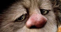Where the Wild Things Are