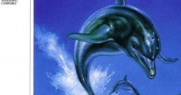 Ecco the Dolphin Ecco エコー・ザ・ドルフィン 에코 더 돌핀 - Video Game Video game from Ecco the Dolphin Ecco