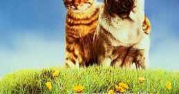 The Adventures of Milo and Otis