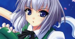 GRAZE Touhou Youyoumu ~ Perfect Cherry Blossom. Touhou Bunkachou ~ Shoot the Bullet. Touhou Eiyashou ~ Imperishable Night.