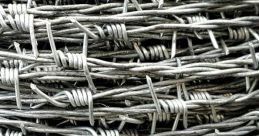 Barb Wire Barb Wire is a thrilling action film set in a dystopian future, directed by David Hogan and released in 1996.