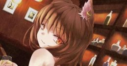 Cat's House Touhou Koumakyou ~ the Embodiment of Scarlet Devil. Touhou Youyoumu ~ Perfect Cherry Blossom. - Video Game Video