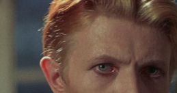 The Man Who Fell to Earth