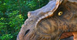 Dinosaur