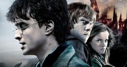 Harry Potter and the Deathly Hallows: Part 2 (2011)