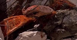 Tremors (1990)