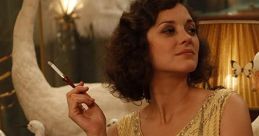 Midnight in Paris (2011)
