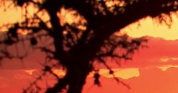 Coldplay - Paradise (Official Video)