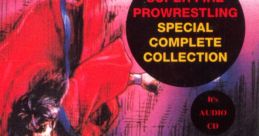 Super Fire Pro Wrestling Special Complete SUPER FIRE PROWRESTLING SPECIAL COMPLETE スーパーファイヤープロレスリング
