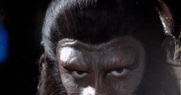 Conquest of the Planet of the Apes (1972)