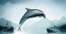 The Cove (2009)